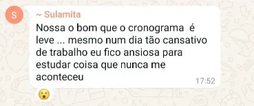 16.-Sulamita-Cronograma-leve-Meta-Exame-42.webp
